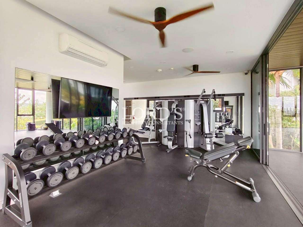 Modern gym with weights and equipment